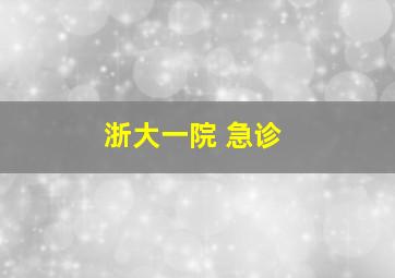 浙大一院 急诊